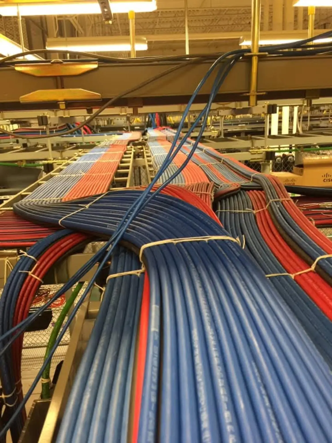 Commercial red and blue feeder cables organized on cable tray